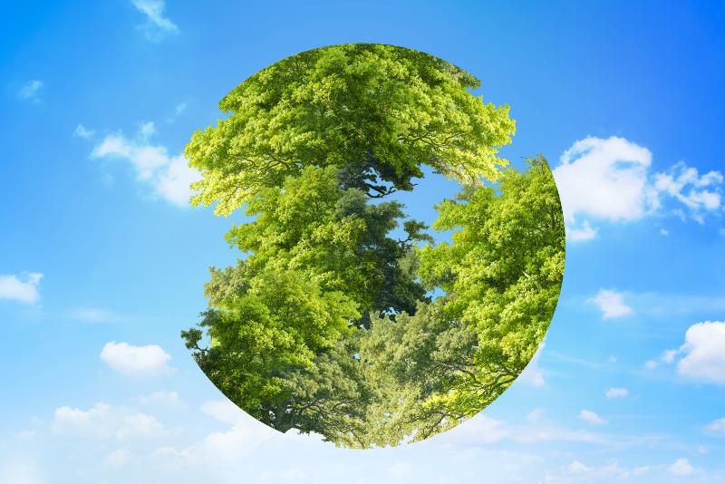 Giornata mondiale dell'ambiente