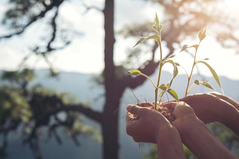 Giornata mondiale dell'ambiente